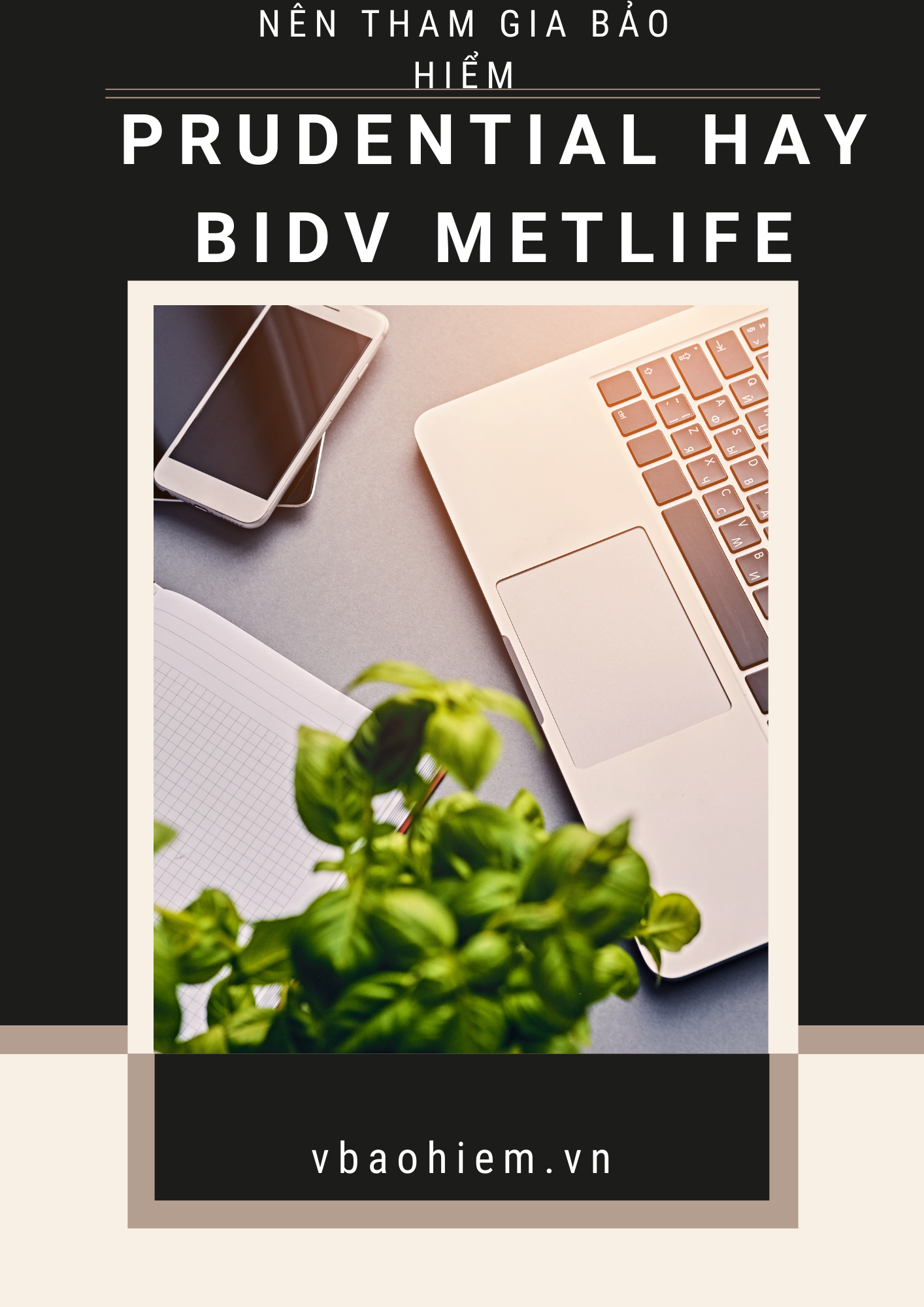 NÊN THAM GIA BẢO HIỂM PRUDENTIAL HAY BIDV METLIFE?