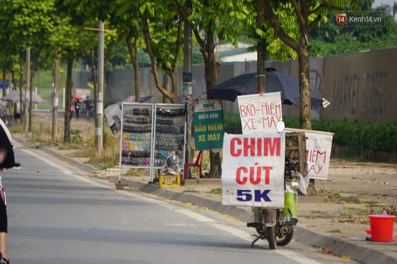 Công ty bảo hiểm vẫn phải BỒI THƯỜNG cho “bảo hiểm xe máy vỉa hè”